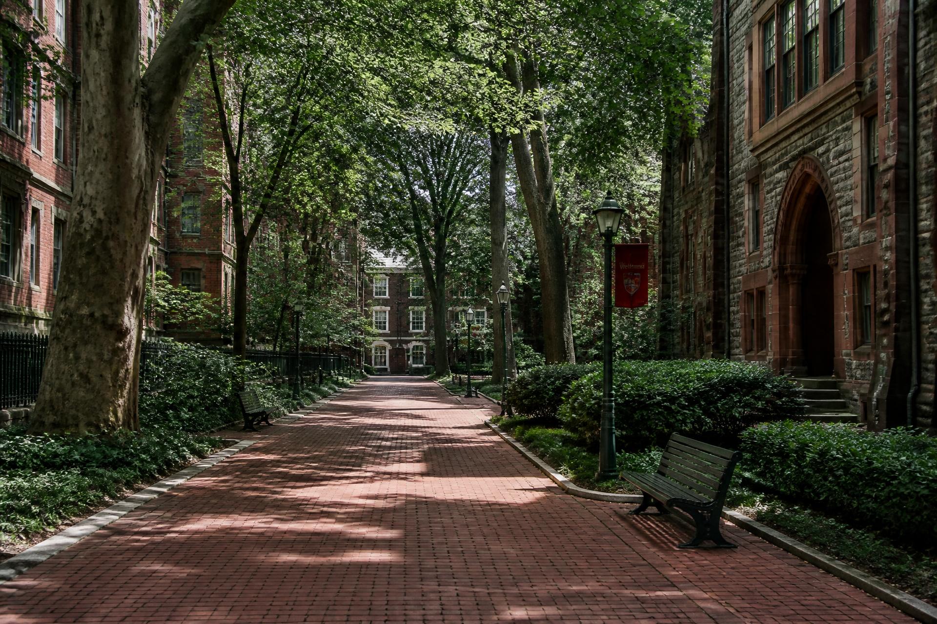 Tree-lined brick walkway on a historic university campus